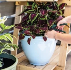 Kelkay Classic Planter - Blue