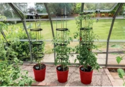 Garland Self Watering Grow Pot Planter - Red