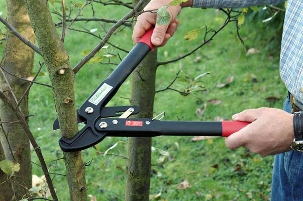 Darlac Handy Ratchet Lopper - Image 2