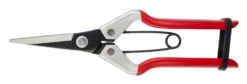 Darlac Vine Scissor