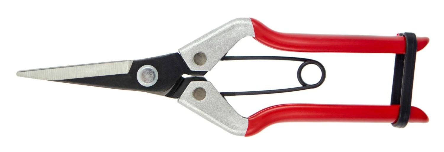 Darlac Vine Scissor