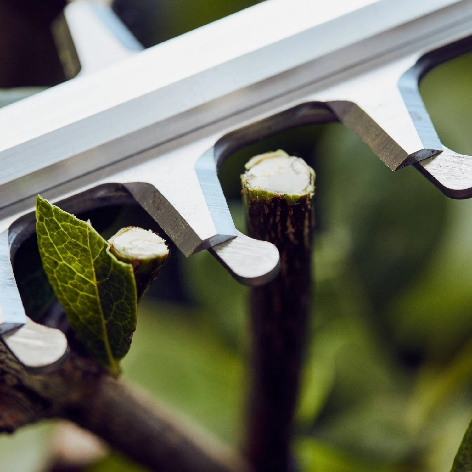 Stihl HSA 56 Boxset Cordless Hedge Trimmer - Image 2