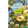 Growing Success Apple Maggot Monitoring Trap