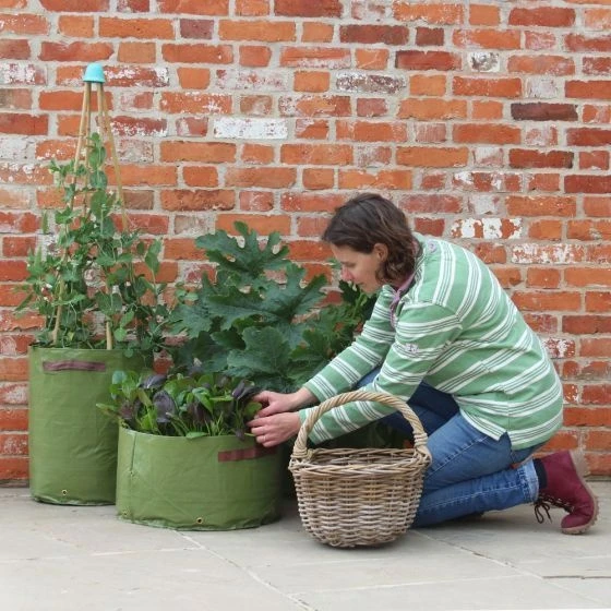 Haxnicks Patio Vegetable Planters X3 - Image 2