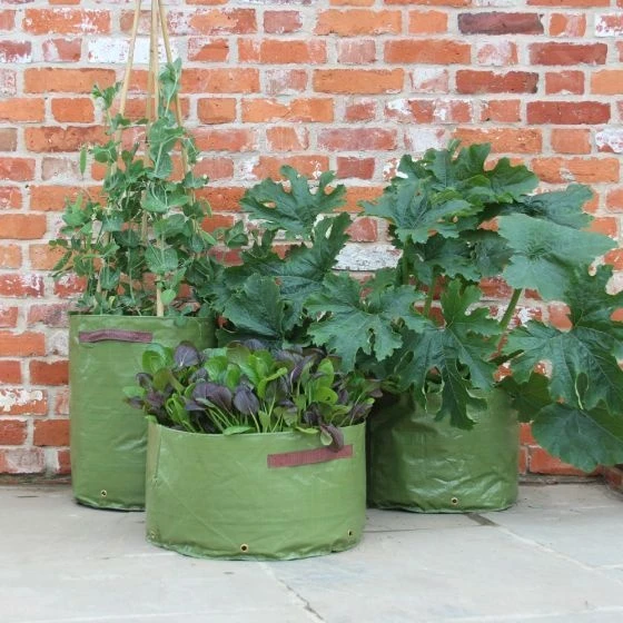 Haxnicks Patio Vegetable Planters X3 - Image 3