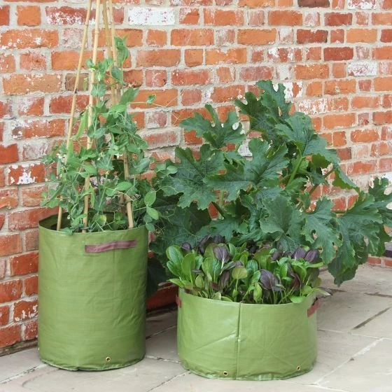 Haxnicks Patio Vegetable Planters X3 - Image 4