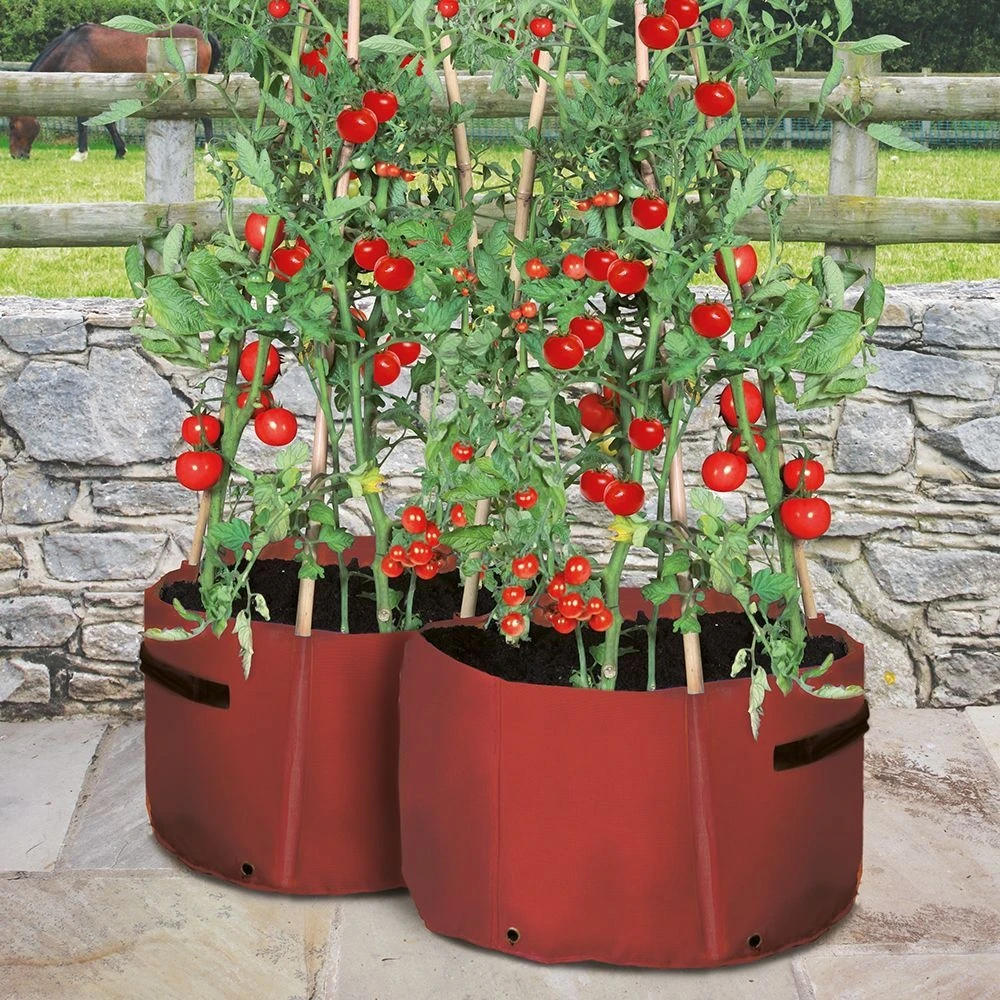 Haxnicks Patio Tomato Planters X2 - Image 2