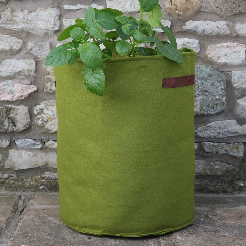 Haxnicks Vigoroot Potato/Tomato Planter - Image 2