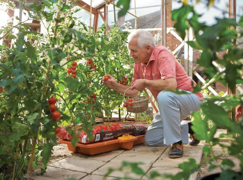 Hozelock Grow Bag Waterer - Image 4