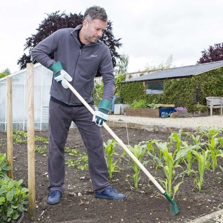 Wilkinson Sword Carbon Steel Garden Rake - Image 4