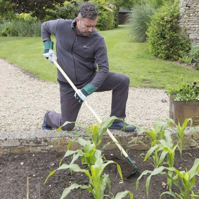 Wilkinson Sword Carbon Steel Draw Hoe - Image 4