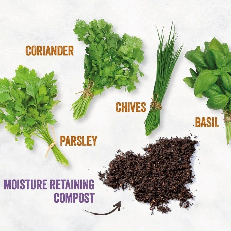 Unwins Homegrown Herb Kitchen Garden - Image 2