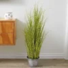 Smart Garden Zebra Grass 90cm