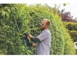 Bosch AdvancedHedgeCut 65 Hedge Trimmer - Image 4